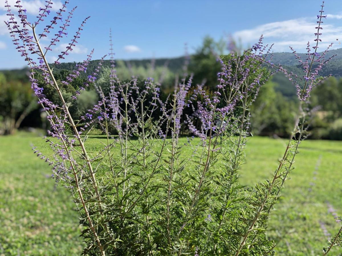 Agriturismo Santa Lorica Сассетта Экстерьер фото